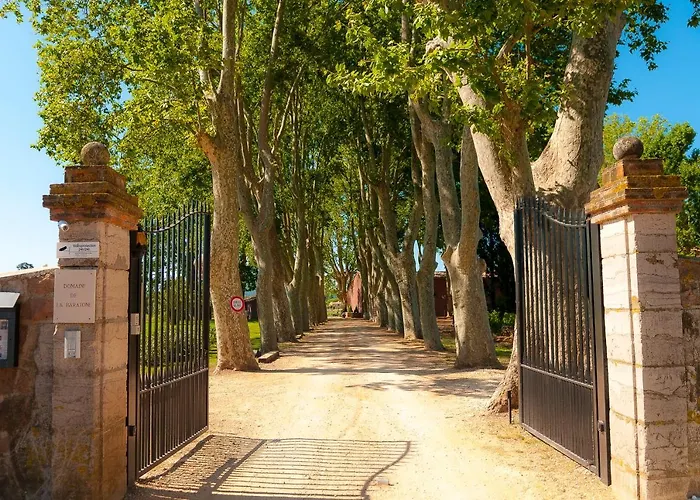 Domaine De La Baratonne