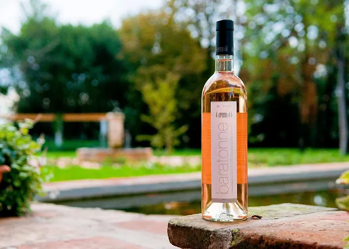 Domaine De La Baratonne